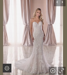 Which wedding dress?