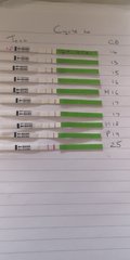 Ovulation Corner