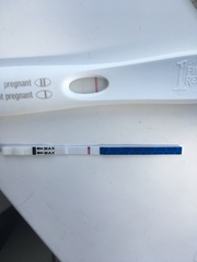 Pregnant after miscarriage?