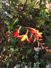 Had a Spendy Summer? Join the Friendly Frugaleers as we Segue Smoothly into a Sensible September