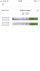 Would you say this opk is positive