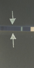 Anyone starting the TWW