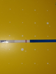 Evap line?