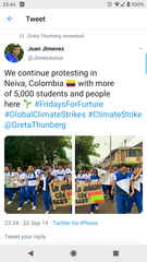 To wonder if school children understand the concept of a (climate) strike