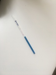 Pregnancy test