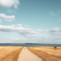 September 2019 #9 - for Twittlebee **title edited by MNHQ**