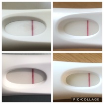 BBT & Ovulation help