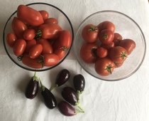 Allotment/Veg Patch Thread 14 ! growing into summer
