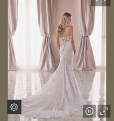 Which wedding dress?