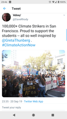 To wonder if school children understand the concept of a (climate) strike