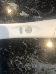 HELP - is this pregnancy test positive or negative?