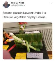 Westminstenders: It's like a bloody aviary