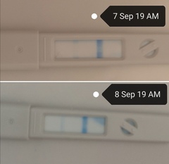 First Pregnancy Missed Miscarriage (Part 4)