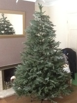 Talk to me about fake Christmas trees...