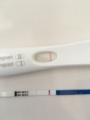 Pregnant after miscarriage?