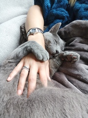 To think my cat nipping me is a sign of affection?