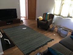 what do you think about this rug?