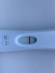 Bfp or false hope?