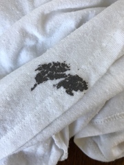 Do you leave your washing on the line overnight?