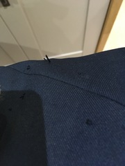 Thread pulls on 2 week old blazer