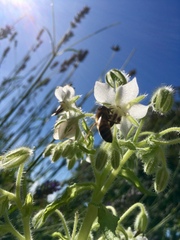 Any Witches Here? Part 9.