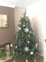 Talk to me about fake Christmas trees...