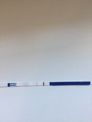 Evap line or faint positive?