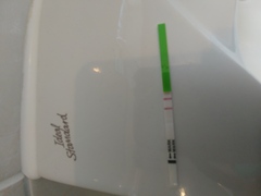 Fresh off the mini pill today-hoping for BFP Oct/Nov 2019 for a Summer 2020 Baby. NEED A BUDDY?