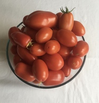 Allotment/Veg Patch Thread 14 ! growing into summer