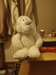 Do I need a padded room or does any of my fellow mumsnettters still have teddies?