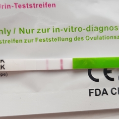 Fresh off the mini pill today-hoping for BFP Oct/Nov 2019 for a Summer 2020 Baby. NEED A BUDDY?