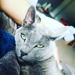 To think my cat nipping me is a sign of affection?