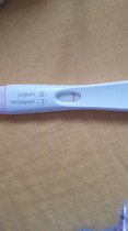 One step test is positive and frer negative?? Which do I trust?