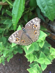 Had a Spendy Summer? Join the Friendly Frugaleers as we Segue Smoothly into a Sensible September