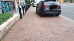 Would you like a ban on cars parking on pavements?