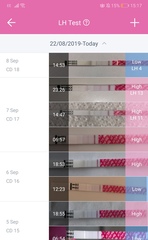 First Pregnancy Missed Miscarriage (Part 4)