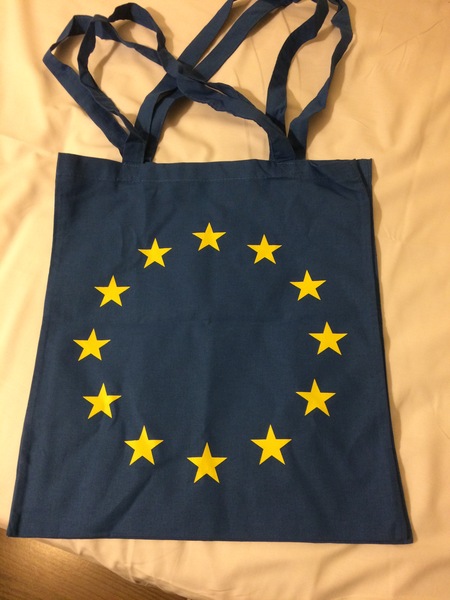 Westminstenders: Christmas Cold, Campaigning, Canvassing and Cancelled Carols