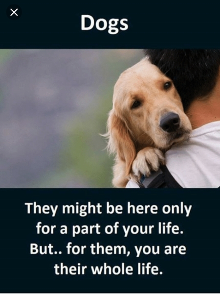 To ask you not to forget this about your dog...