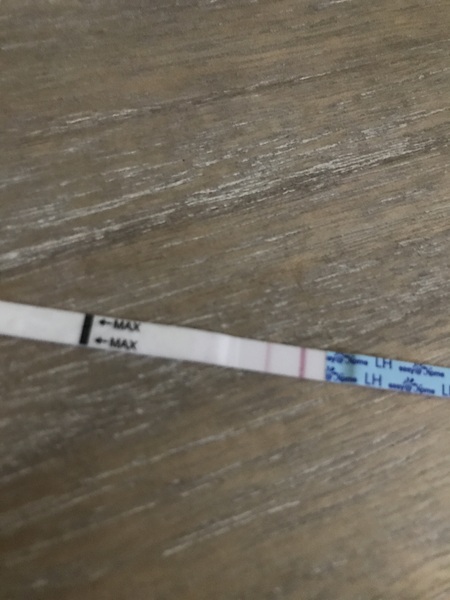 Laboquick ovulation year - see pic