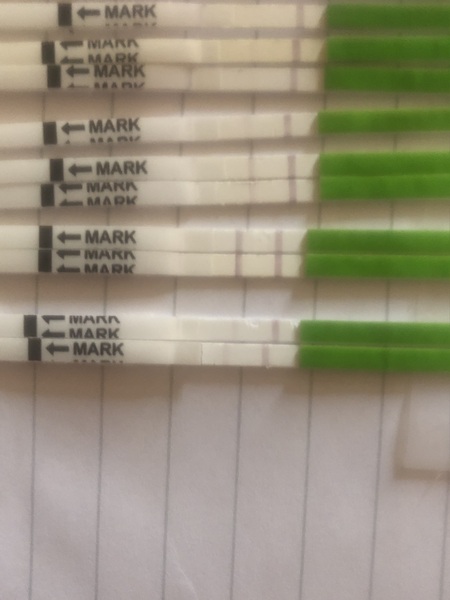 OPK... pretty much?
