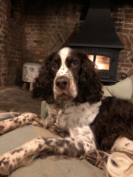 If you are sat on the sofa, what’s next to you?