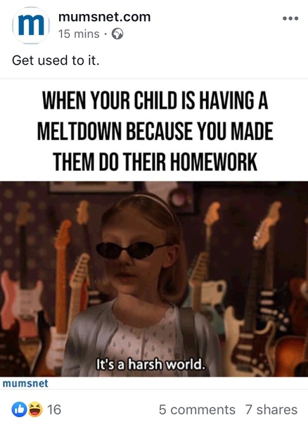 Aibu to hate that people insist on using the word meltdown when they mean tantrum?