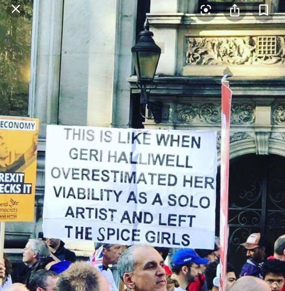 Inspiration needed - witty anti-Brexit placard quips