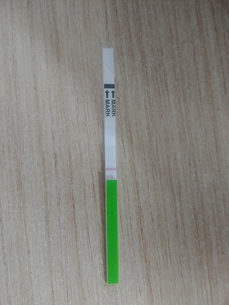 Fresh off the mini pill today-hoping for BFP Oct/Nov 2019 for a Summer 2020 Baby. NEED A BUDDY?