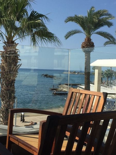 Westministenders: The weasel DIDN'T die in a ditch