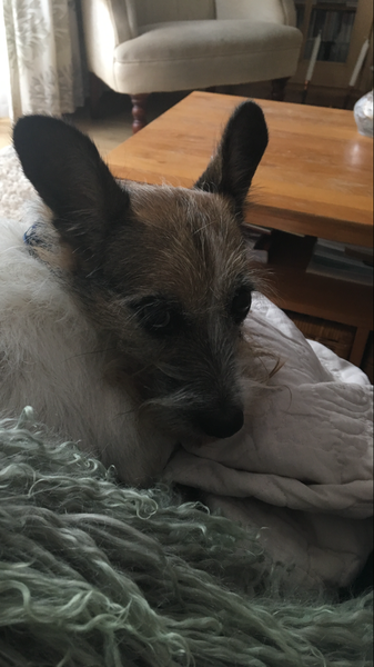 If you are sat on the sofa, what’s next to you?