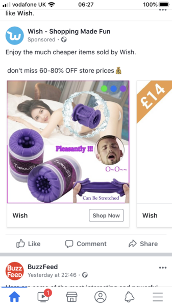 The latest ad you've seen on Wish?
