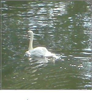 Westministenders: Sub-Prime Minister at large