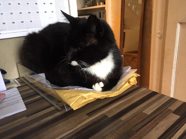 Westminstenders: The Slow No