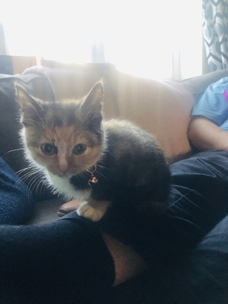 Meet Demelza!
